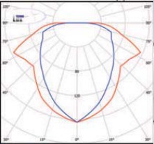  ������ ���� �����